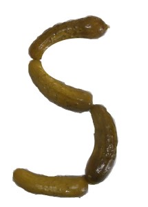 Letter S made with pickles