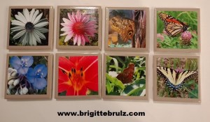 DIY picture tile coasters- butterflies and flowers