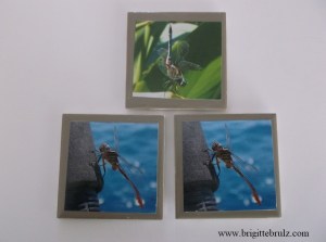 handmade dragonfly tile coasters