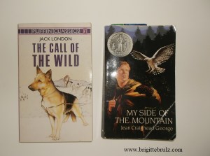 summer reading program prize