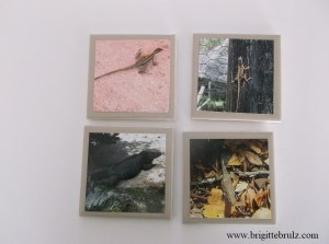 handmade tile coasters with lizards