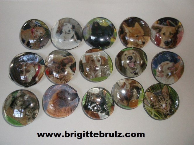 pet magnets for vet themed party