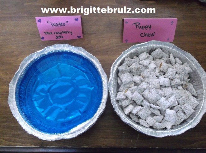 food for a vet themed party