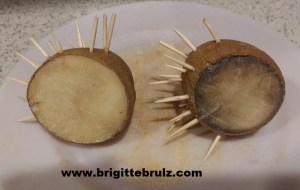 Rotting potato experiment