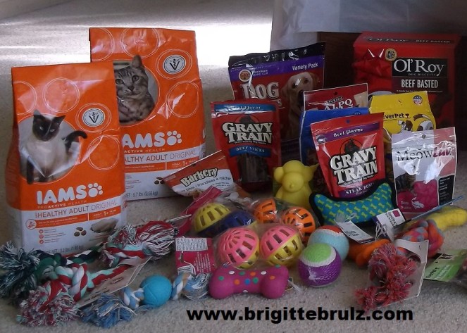 donate to local humane society