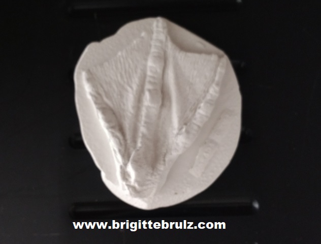 canadian goose track mold