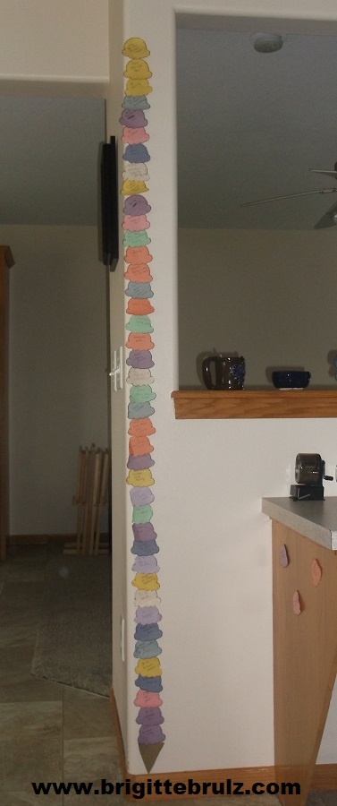 display your spring and summer activities