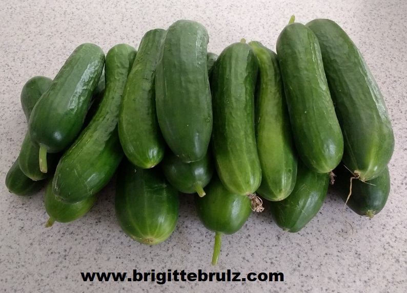 Cucumbers