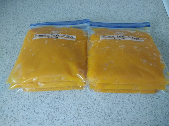 pumpkin puree prepared to freeze