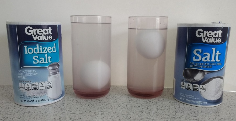 Making an Egg Float in Water