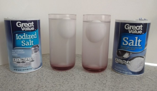 Making an Egg Float in Water