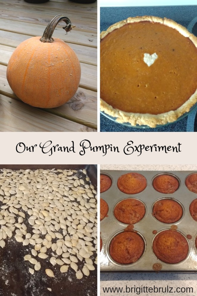 Our Grand Pumpkin Experiment Results