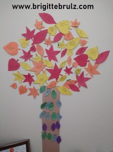 Fall and winter activities