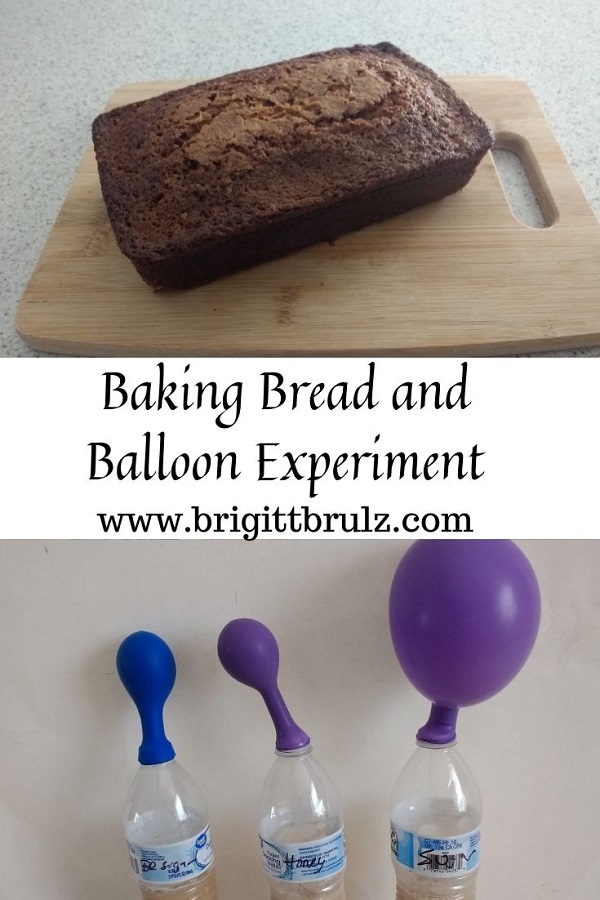 Baking Bread and Balloon Experiment