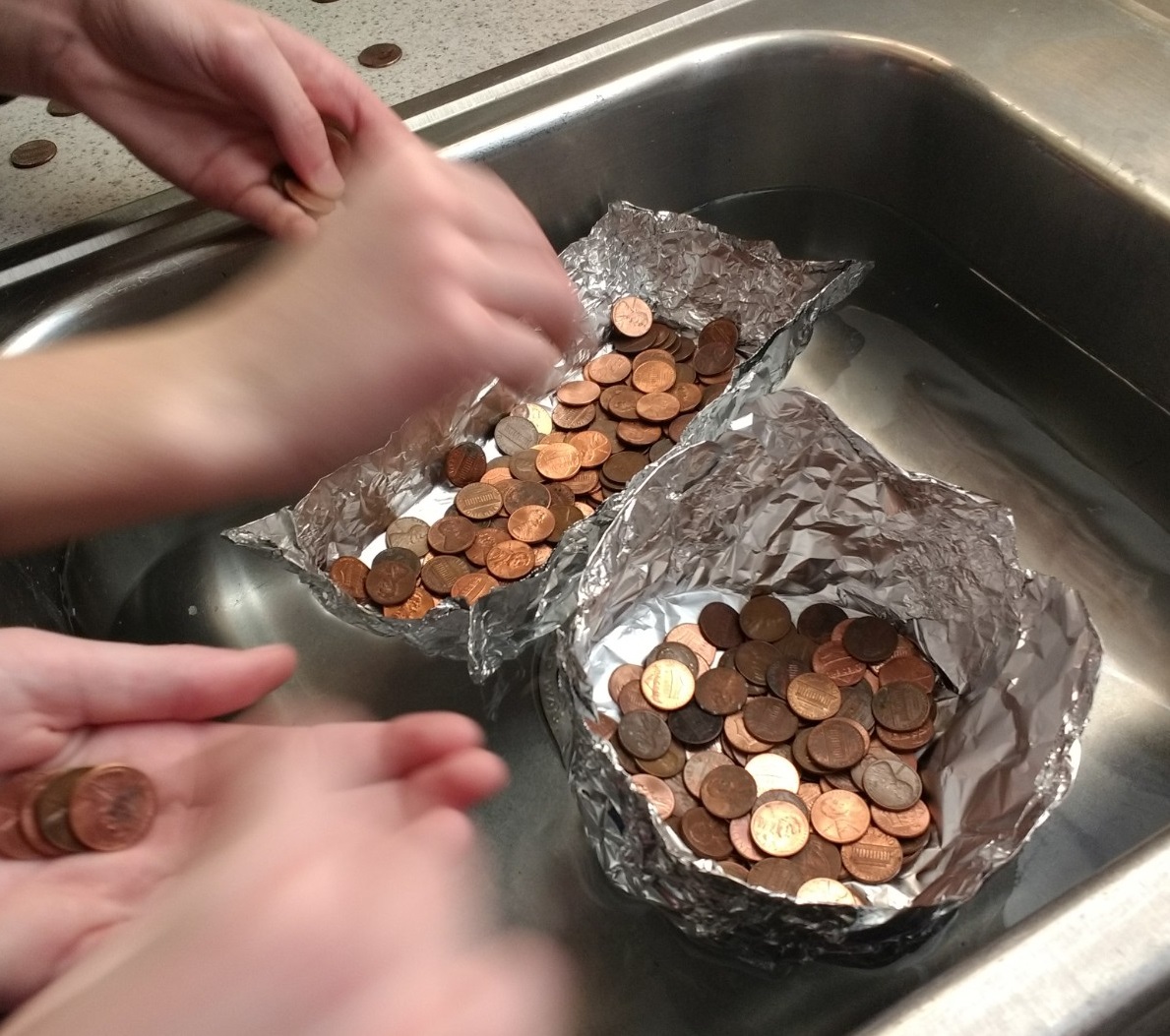 Sink and Float Counting Money President's Day Experiment